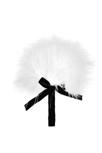 Teasing feather tickler tickle - teasing,