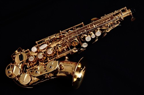 New yanagisawa wo10 - 🔥new, sc-wo10