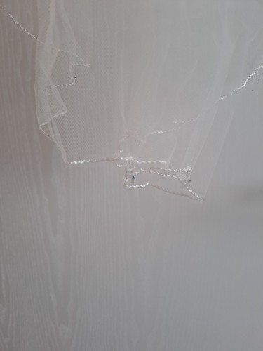 Bridal veil wedding edge - veil,