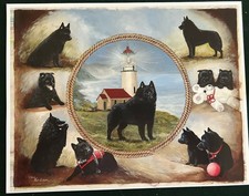 Schipperke Color Print By