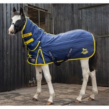 Gallop PONIE 200g Combo Stable