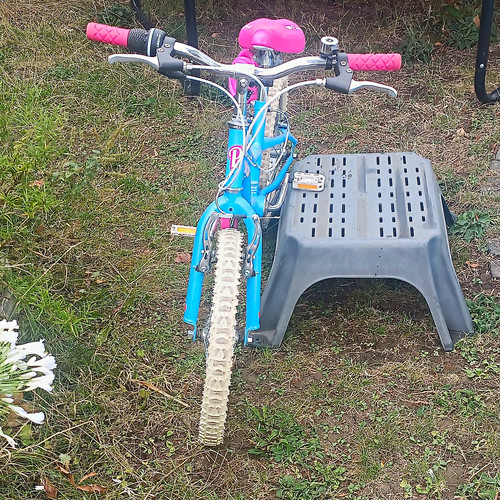Pazzaz cruisy 20in girls kids - 20in,