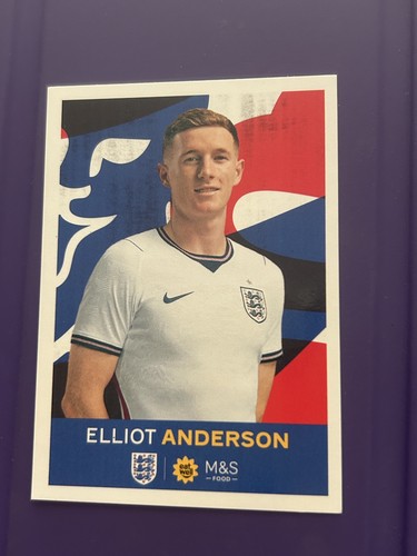 Official panini s - official,