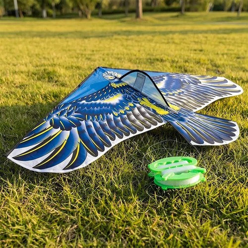 Large eagle kite anti - kite, bird
