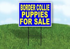 Border Collie PUPPIES FOR SALE