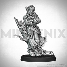 ELF DRUID TRICKSTER Fantasy