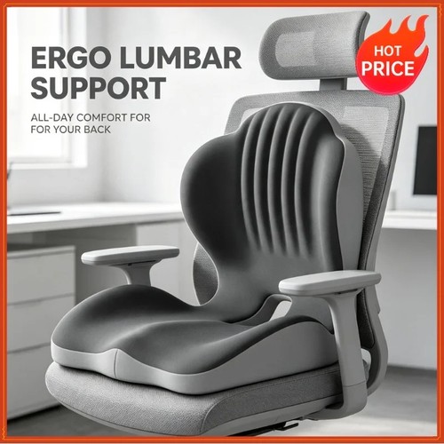 Ergonomic back and seat - 2-in-1,