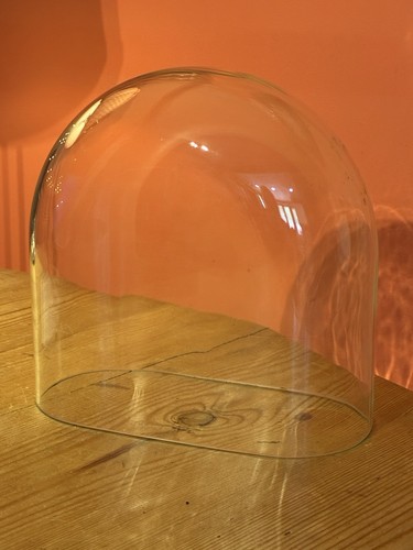 Vintage large glass dome - vintage,