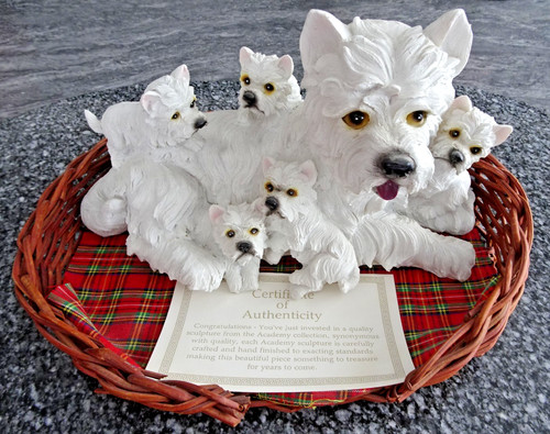 Westie mum with - westie,