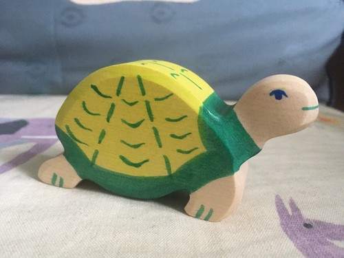 Holztiger tortoise turtle - holztiger,