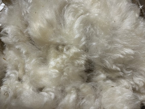 Unwashed wool 250g valais - unwashed,