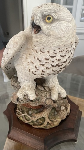 Great snowy owl john aynsley - great,