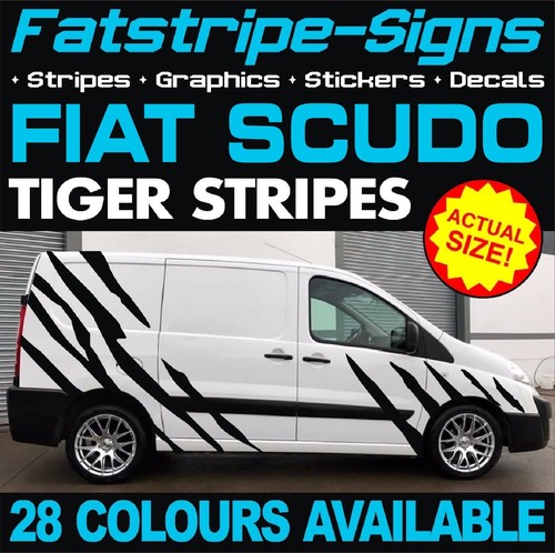Fits fiat scudo graphics - fiat,