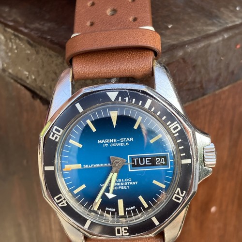 Sicura marine star divers - star,