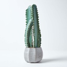 Hylocereus Artificial Cactus In Decorative Textured Stone Pot, 49 cm Tall