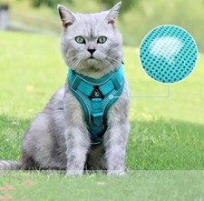 Adjustable and Reflective cat