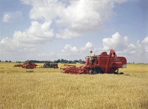Vintage massey ferguson 892 - massey,