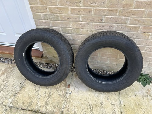 Goodyear vector seasons - goodyear,