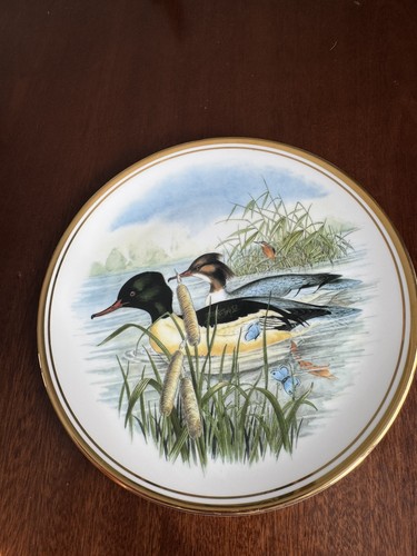 Edwardian fine china plate - china,