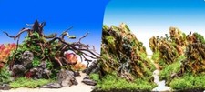 DoubleSided Aquarium/Fish Tank