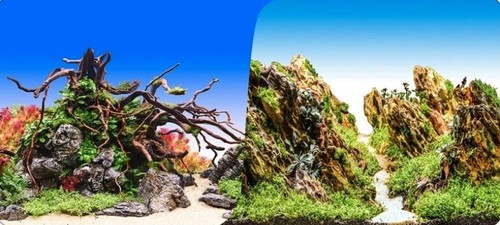 Doublesided aquarium fish tank - aquarium/fish,