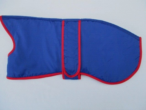43m whippet coat royal - whippet,