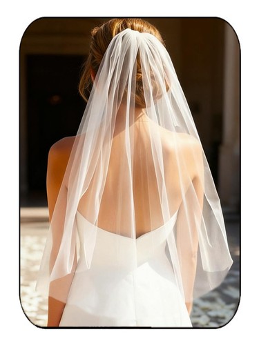 Bride wedding veils - wedding,