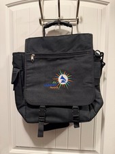 49th Grammy Awards messenger