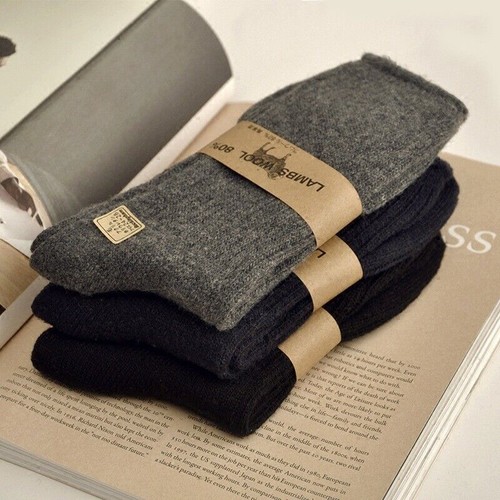 Pack mens 100 merino - 1/3,