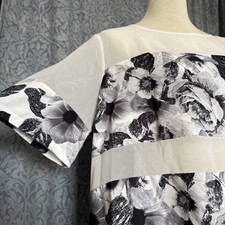 Women’s Matalan Papaya Sheer