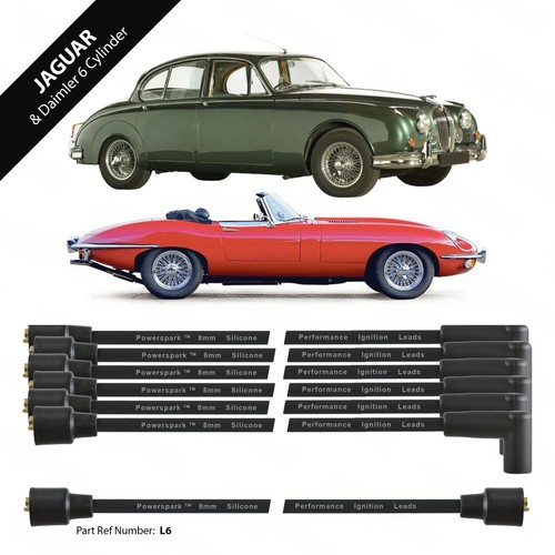 Jaguar type engines - e,