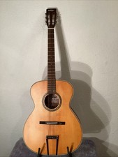 Guitar Electro Acoustic VE 600