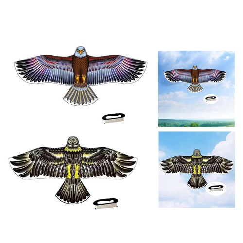 Huge kite large - huge,