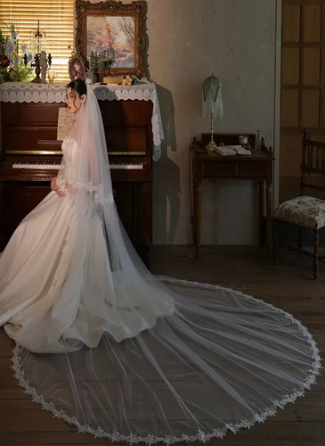 Lace edge wedding veil - , with