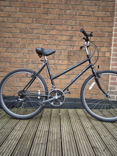 Ladies retro raleigh bike - retro,
