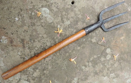 Long handled weeding fork for - fork,