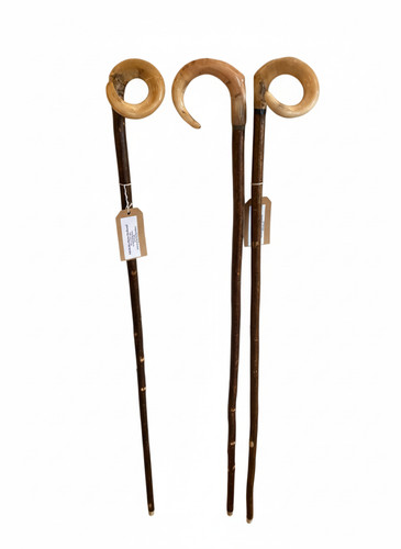 Rams horn crooks hazel - rams,