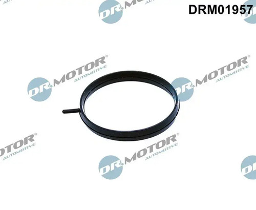 Throttle body gasket drm01957 - throttle,