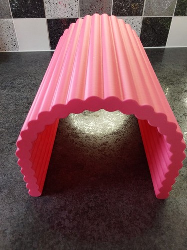Guinea pig tunnel - pig,