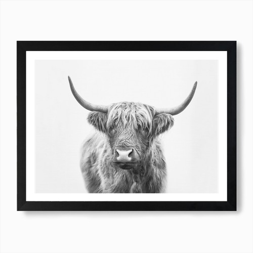 Highland bull art - highland,