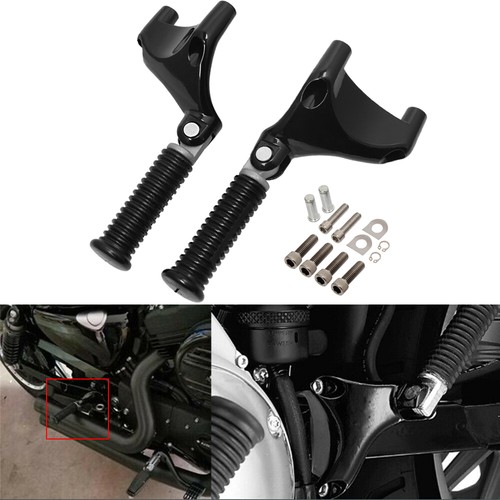 Rear passenger foot peg mount - peg,