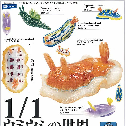 Scale sea slug world - sea,