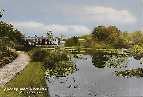 Pocklington yorkshire - pocklington,,