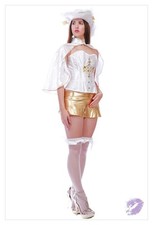 Sexy Musketeer Ladies Fancy