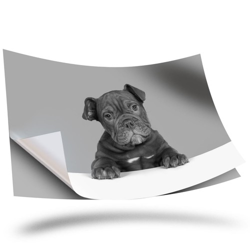 Vinyl sticker bw - sticker, a3