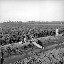 Egypt Egyptian peasants