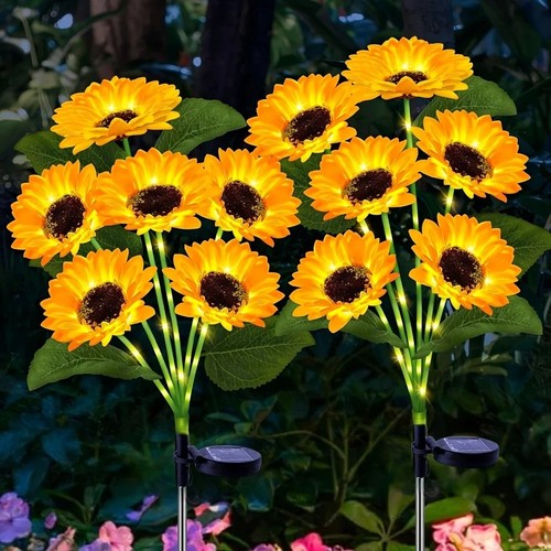 Pack flower sunflower - 1,