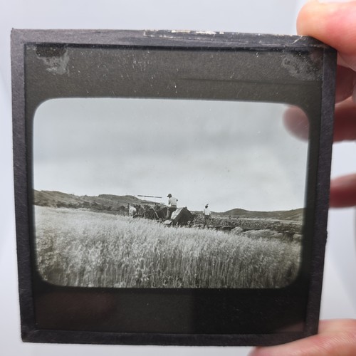 Glass magic lantern slide - glass,