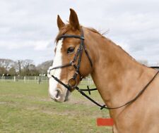 Mexican Grackle Bridle Windsor