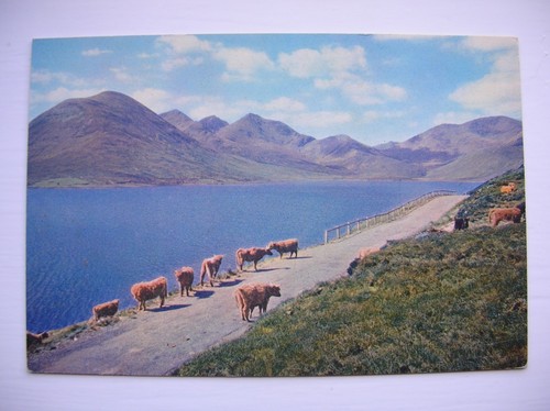 Skye postcard red hills from - postcard,